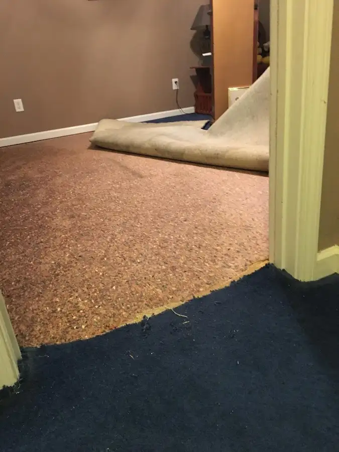 Carpet pad removal revealing water damage during Water Mitigation Services in Lochearn