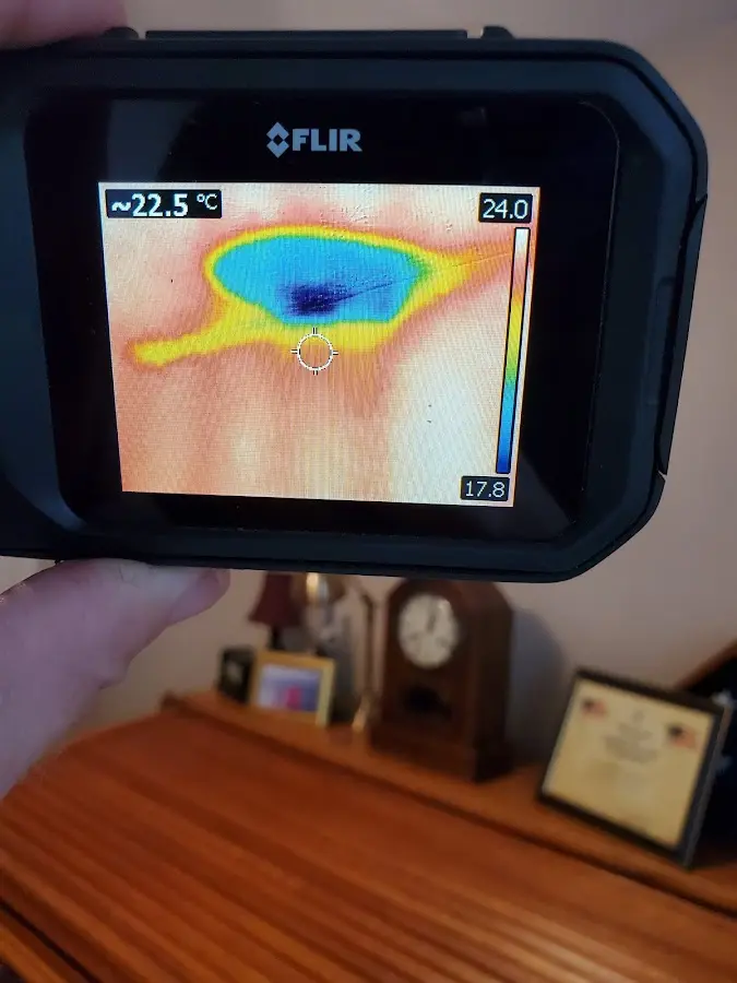 Thermal imaging inspection for water damage in Lochearn