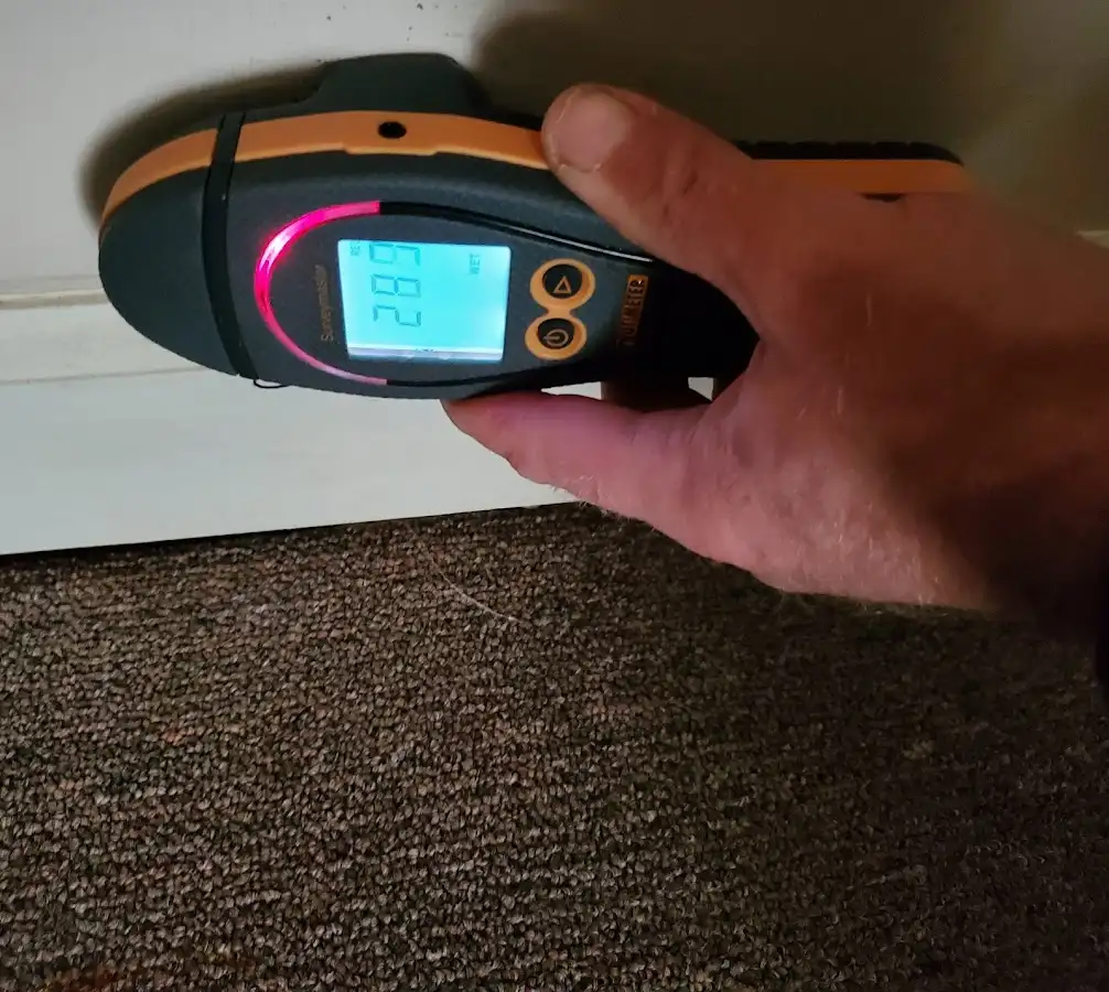 Moisture detection at baseboard during Sewage Cleanup & Sanitation in Lochearn